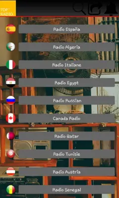 Top Radio World 113 android App screenshot 2